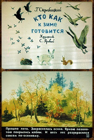Советский диафильм для ребенка Кто как к зиме готовится