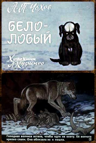 Купить диафильм сказка Белолобый
